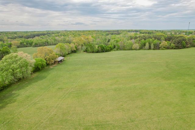 0 Puncheon Branch, Minor Hill, TN 38473