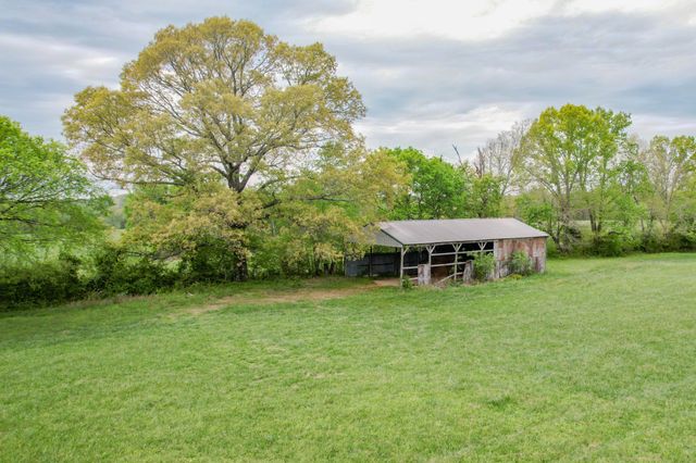 0 Puncheon Branch, Minor Hill, TN 38473