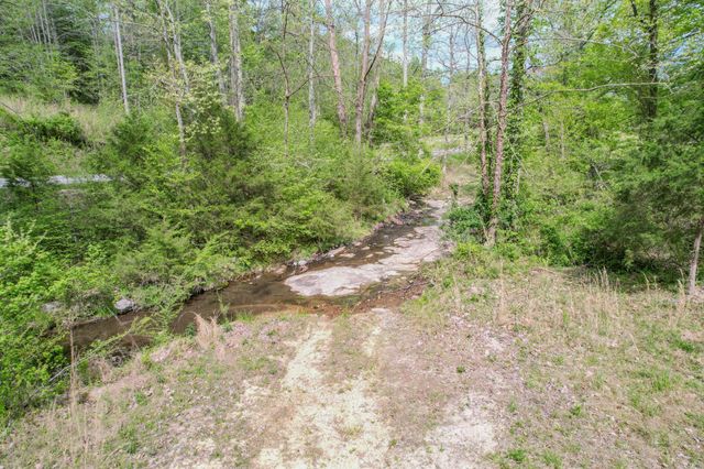 0 Puncheon Branch, Minor Hill, TN 38473