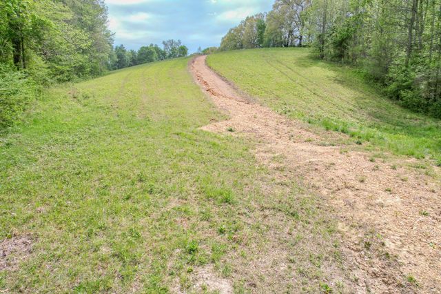 0 Puncheon Branch, Minor Hill, TN 38473