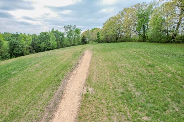 0 Puncheon Branch, Minor Hill, TN 38473