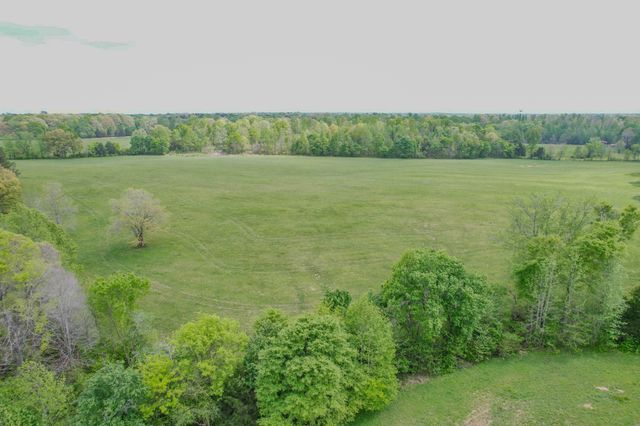 0 Puncheon Branch, Minor Hill, TN 38473