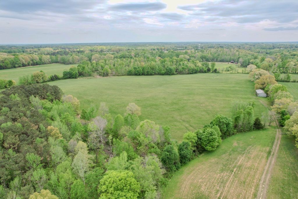 0 Puncheon Branch, Minor Hill, TN 38473