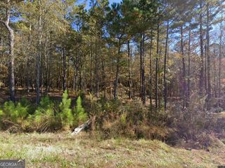 343 S Singley Drive, Locust Grove, GA 30248