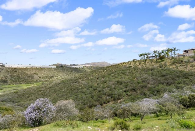 11753 Big Canyon Ln, San Diego, CA 92131