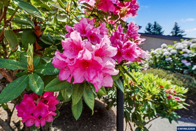 223 McNary Heights Dr N, Keizer, OR 97303