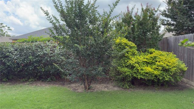 217 Southpeak Lane, Ponder, TX 76259