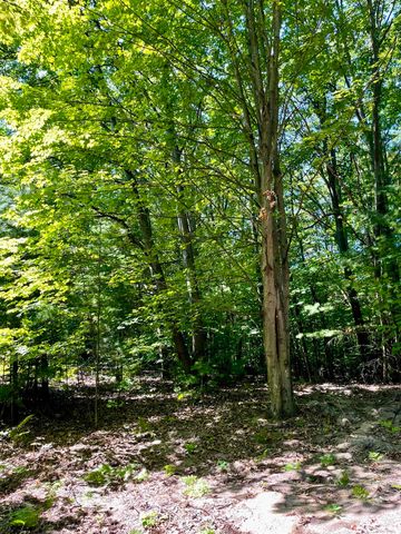 0 Us-31 S, Williamsburg, MI 49690