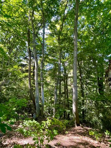 0 Us-31 S, Williamsburg, MI 49690