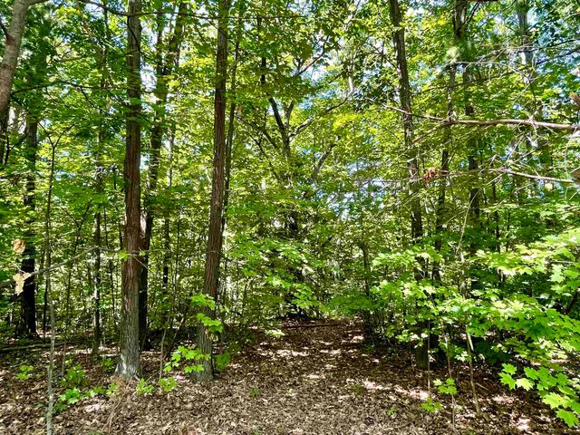 0 Us-31 S, Williamsburg, MI 49690