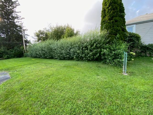 424 N Elmwood Avenue, Wood Dale, IL 60191