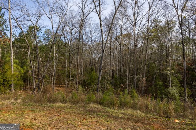 153 Jackson Drive, Forsyth, GA 31029