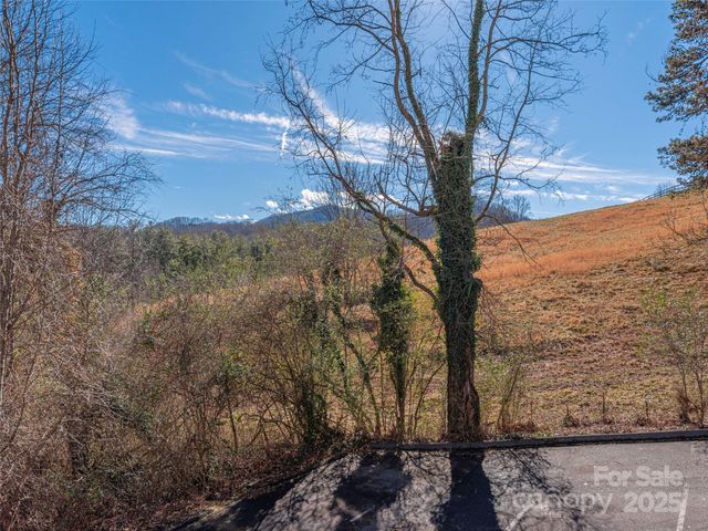 53 Vancott Court, Clyde, NC 28721