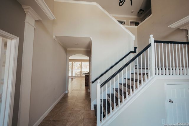 519 Wildgrove Ln, San Antonio, TX 78258