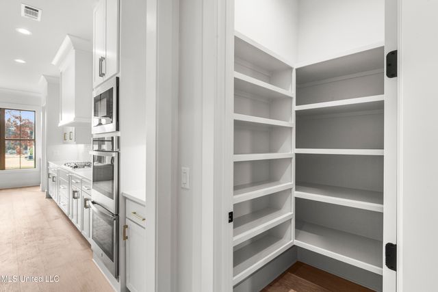 376 Wellstone Place, Madison, MS 39110