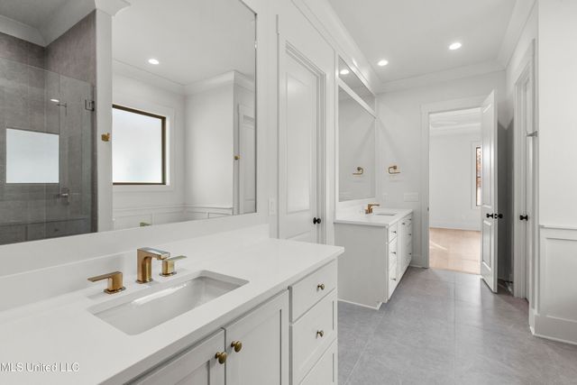 376 Wellstone Place, Madison, MS 39110