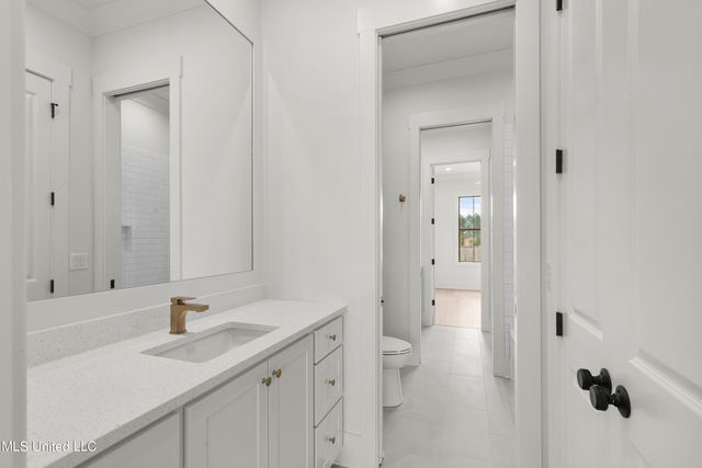 376 Wellstone Place, Madison, MS 39110