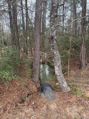 14871 Fannin Rd, Willis, TX 77378