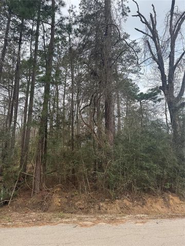 14871 Fannin Rd, Willis, TX 77378