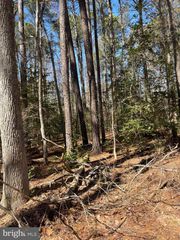 1ST ST, Nanjemoy, MD 20662