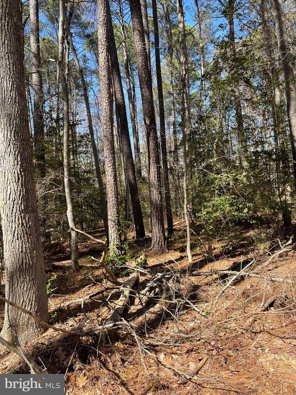 1ST ST, Nanjemoy, MD 20662