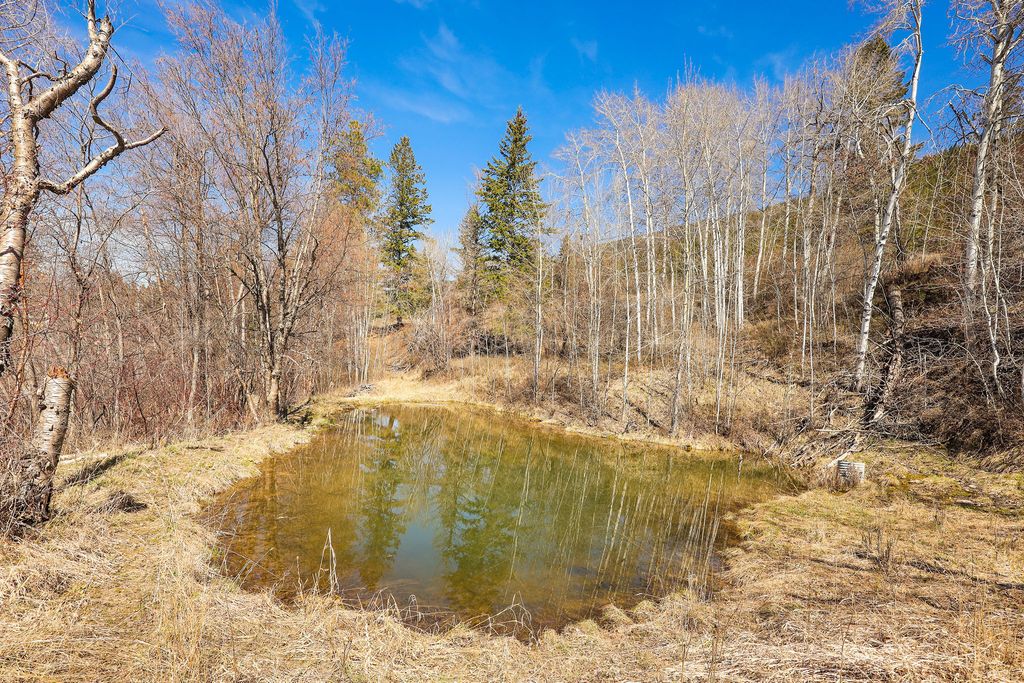 784 Pluid Road, Eureka, MT 59917 photo 53