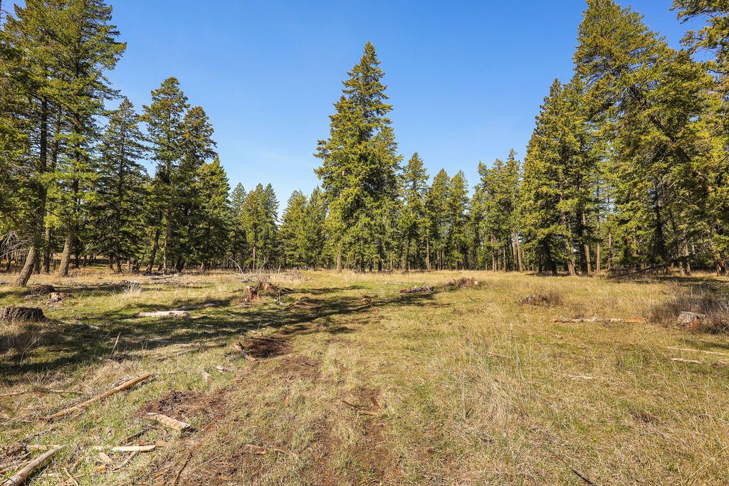 784 Pluid Road, Eureka, MT 59917 photo 71