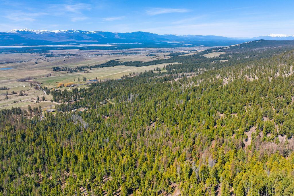 784 Pluid Road, Eureka, MT 59917 photo 72