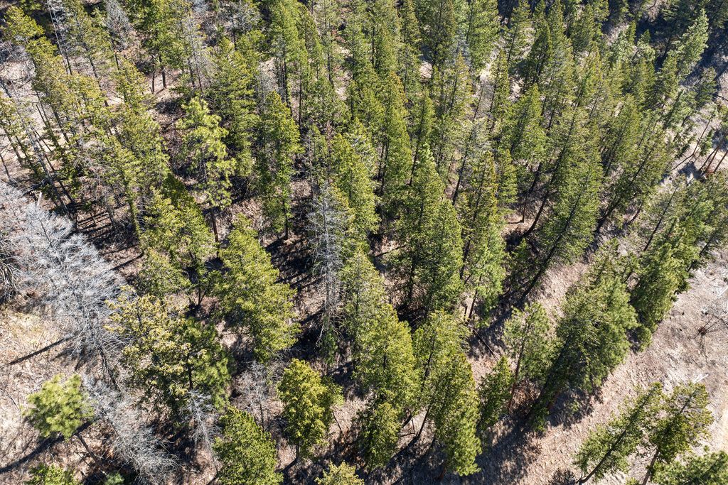784 Pluid Road, Eureka, MT 59917 photo 78