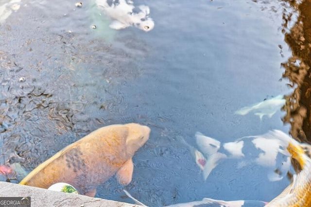 1060 Birmingham Road, Milton, GA 30004