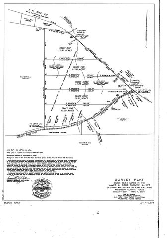 TBD Tract 2 FM 321, Tennessee Colony, TX 75861