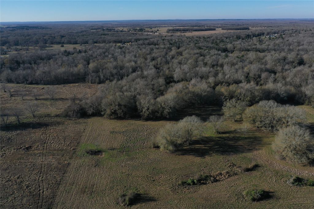 TBD Tract 2 FM 321, Tennessee Colony, TX 75861