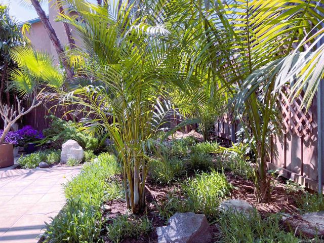 4727 Mount Frissell Drive, San Diego, CA 92117