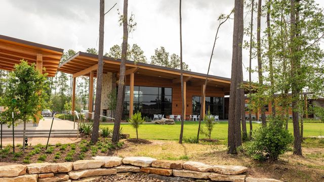 12853 Meadow Wind Way, Conroe, TX 77302