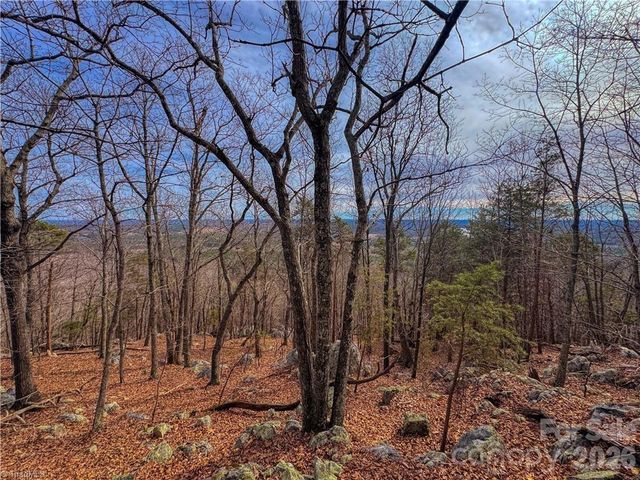 1026 Sierra Trace Road, Denton, NC 27239