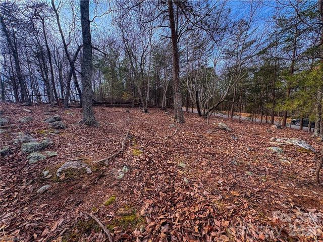 1026 Sierra Trace Road, Denton, NC 27239