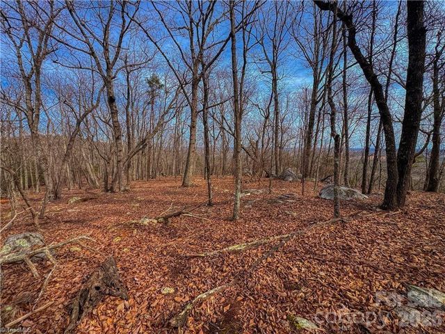 1026 Sierra Trace Road, Denton, NC 27239