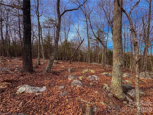 1026 Sierra Trace Road, Denton, NC 27239