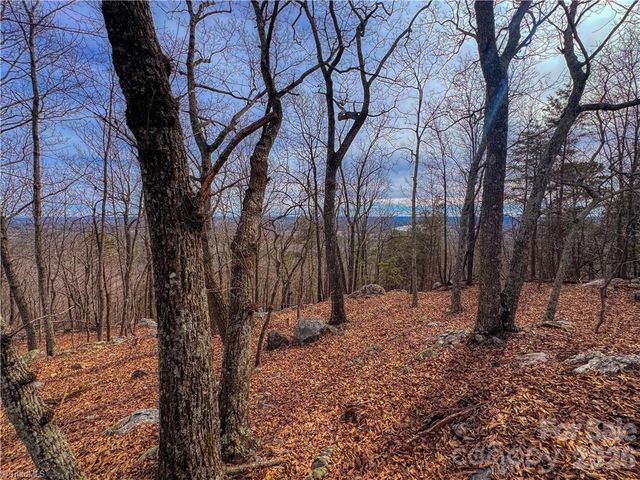 1026 Sierra Trace Road, Denton, NC 27239