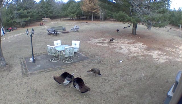 3179 11th Avenue, Grand Marsh, WI 53936