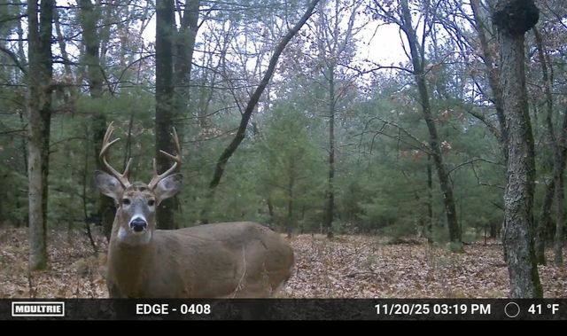 3179 11th Avenue, Grand Marsh, WI 53936