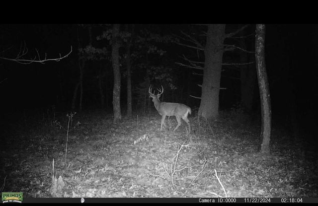 3179 11th Avenue, Grand Marsh, WI 53936