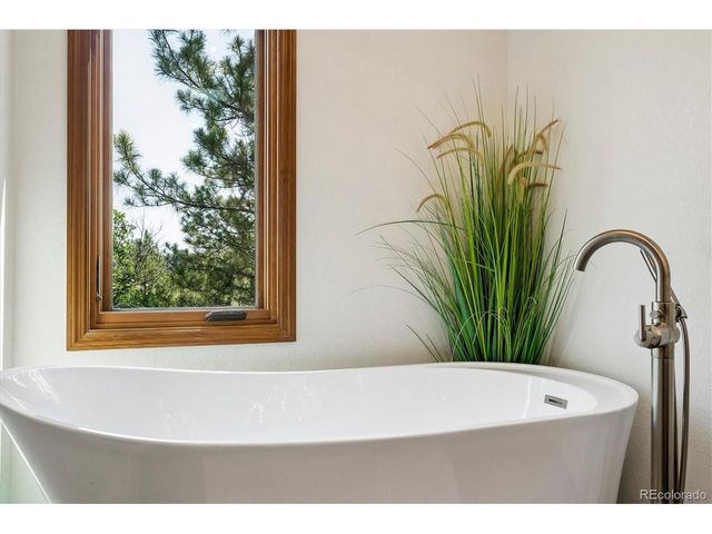 8930 Burning Tree Dr, Franktown, CO 80116