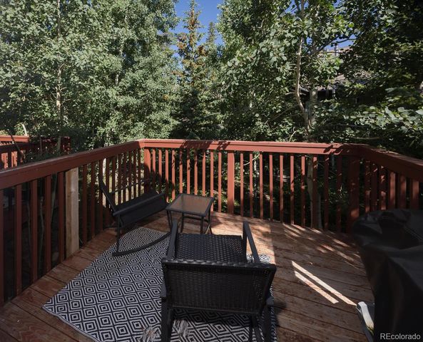 77 Spyglass Lane 77, Silverthorne, CO 80498