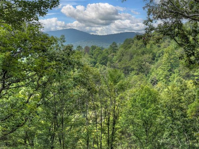1821 Stanley Creek Road, Cherry Log, GA 30522