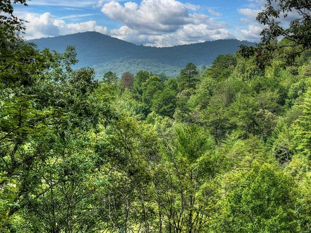 1821 Stanley Creek Road, Cherry Log, GA 30522