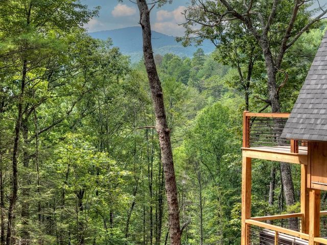 1821 Stanley Creek Road, Cherry Log, GA 30522