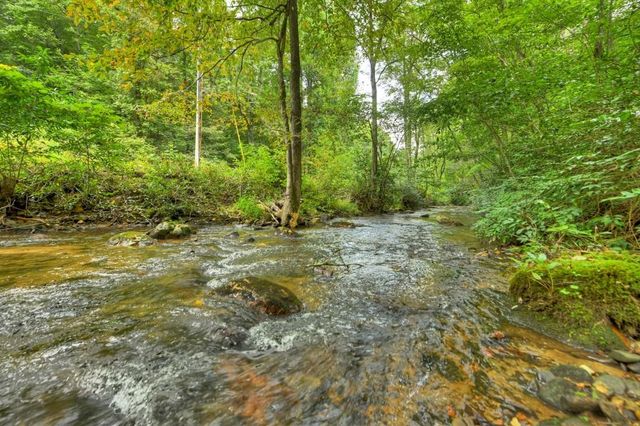 1821 Stanley Creek Road, Cherry Log, GA 30522