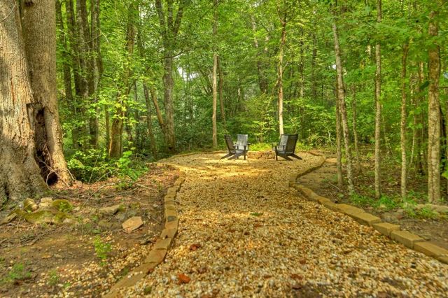 1821 Stanley Creek Road, Cherry Log, GA 30522