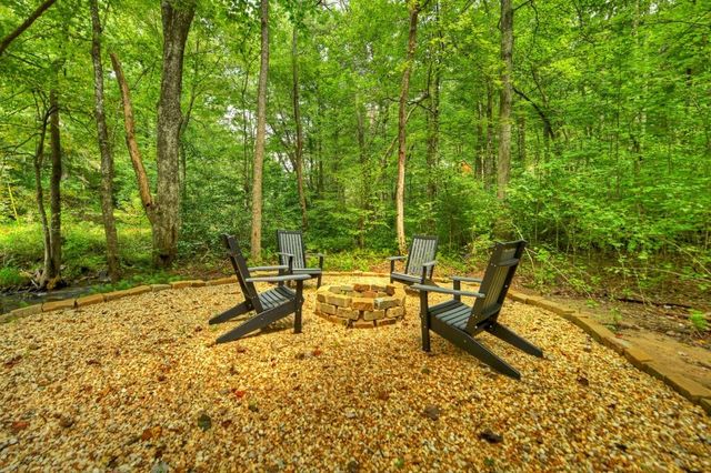 1821 Stanley Creek Road, Cherry Log, GA 30522